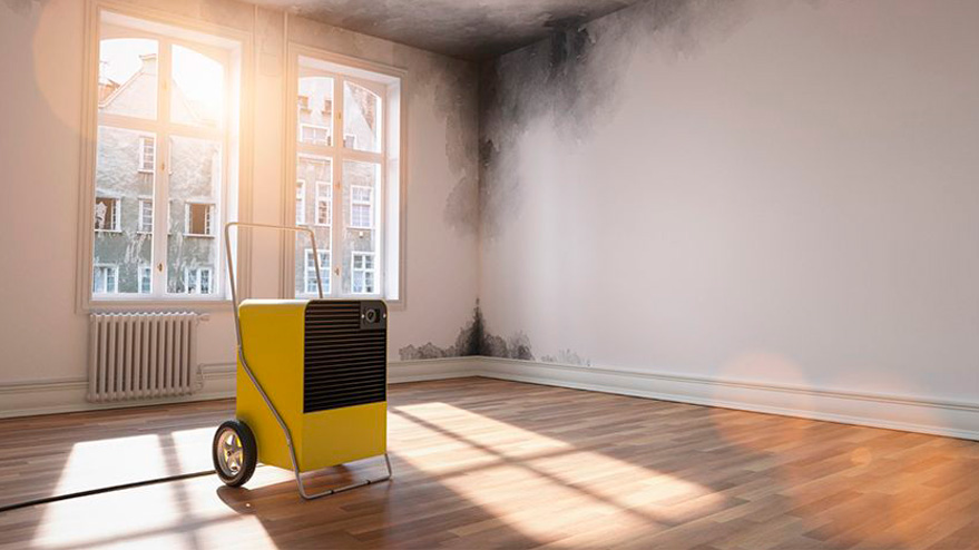 Asbestos Testing & Abatement