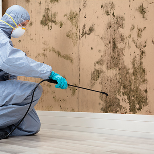 Usa Restoration Image